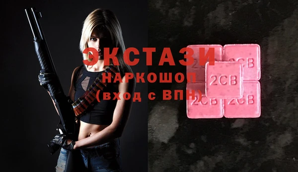 индика Медвежьегорск