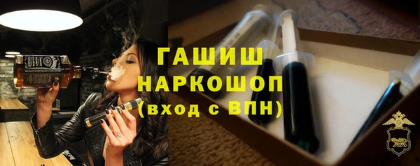 твердый Магас