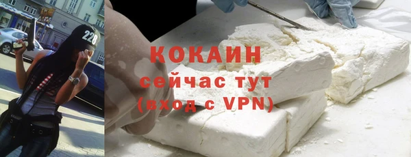 твердый Магас