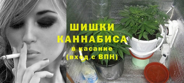 твердый Магас