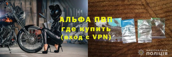 твердый Магас