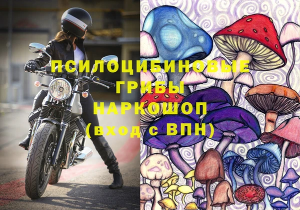 сатива Майский
