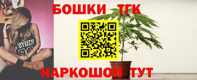 бошки Дубна