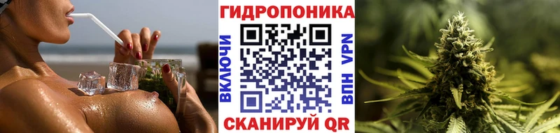дарнет шоп  Углич  МАРИХУАНА планчик 